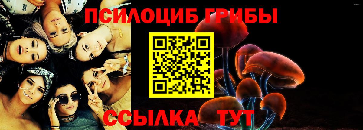 Батайск  Псилоцибиновые грибы Cubensis  Вход с VPN 